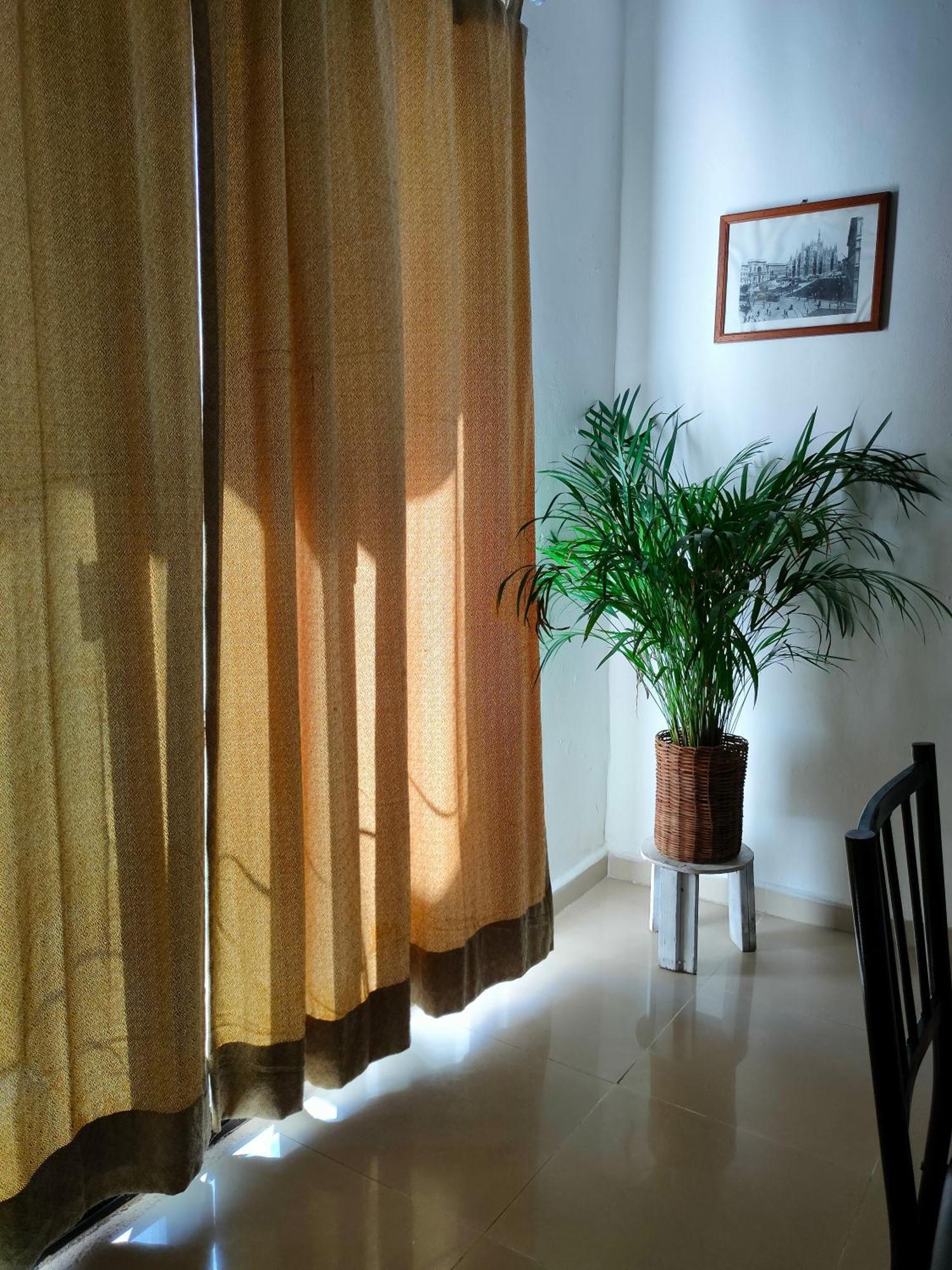 坎昆Casa Coraza公寓 外观 照片